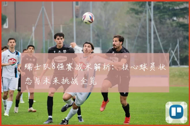 瑞士队8强赛战术解析：核心球员状态与未来挑战全览